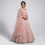 Blush Shimmer Floral Lehenga Set